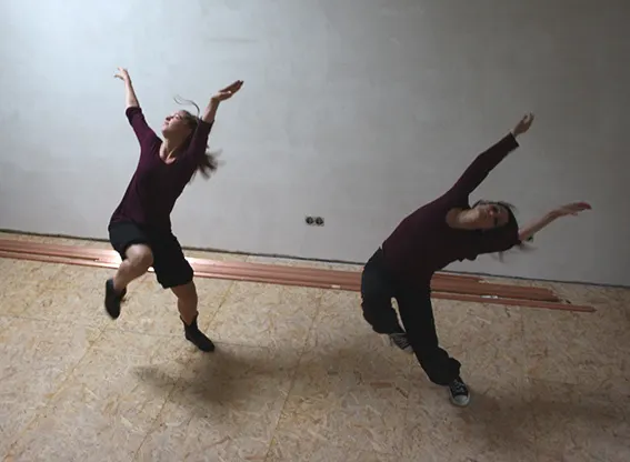 Ballettschule Anna Janina Seliger — tanz-studio in Alfter-Oedekoven — 2