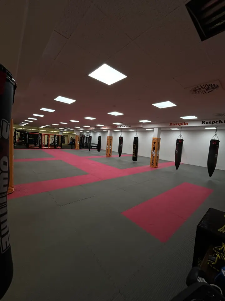 Tiger Sportakademie Nürtingen — mma-studio in Kleintischardt, Nürtingen — 2