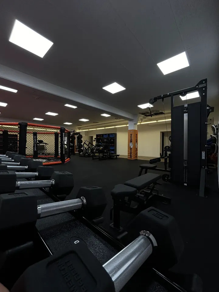 Tiger Sportakademie Nürtingen — MMA in Kleintischardt, Nürtingen