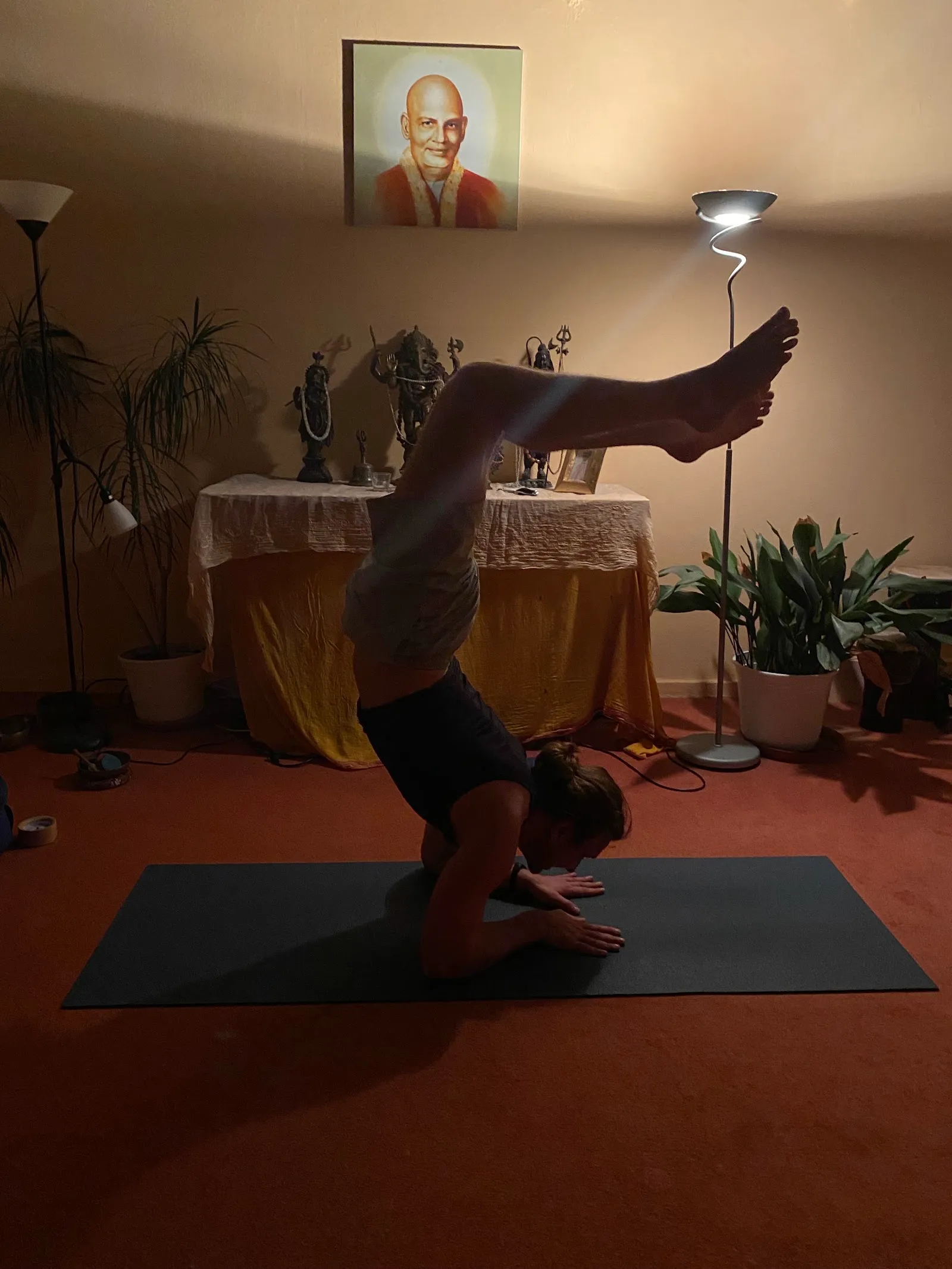 Yoga Vidya e.V. — yoga-studio in Altstadt, Mainz — 2