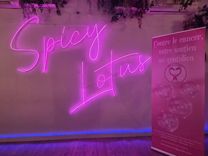 Spicy Lotus Aérien — yoga-studio à Tours — 3