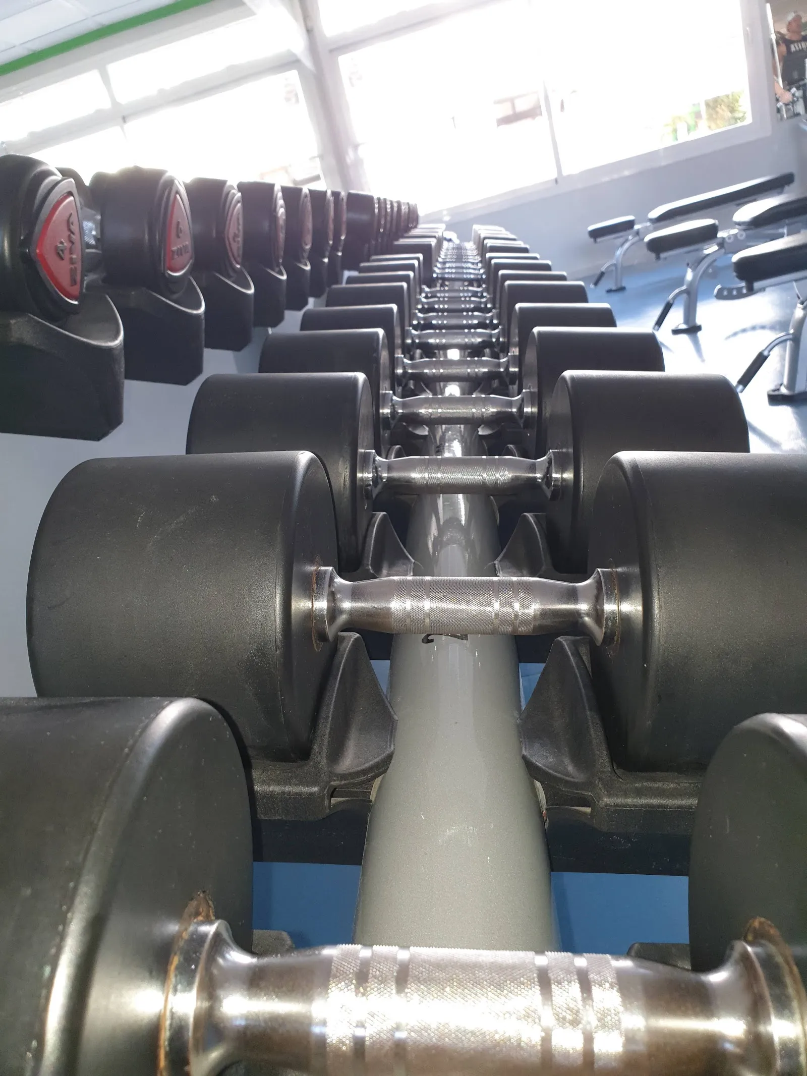 RUMI'S GYM Ibiza Cala de Bou — estudio de fitness-studio en Sant Josep de sa Talaia — 4