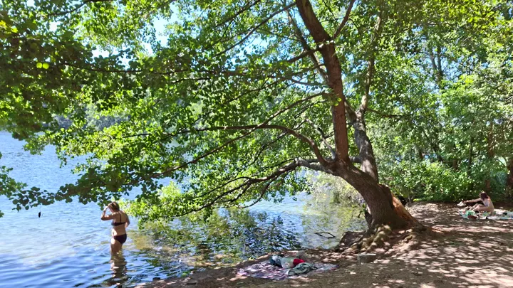 Alchemy of Growth - Liegewiese Schlachtensee — fitnessstudio in Schlachtensee, Berlin — 2