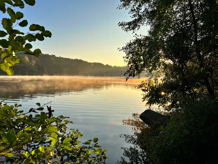 Alchemy of Growth - Liegewiese Schlachtensee — fitnessstudio in Berlin — 3