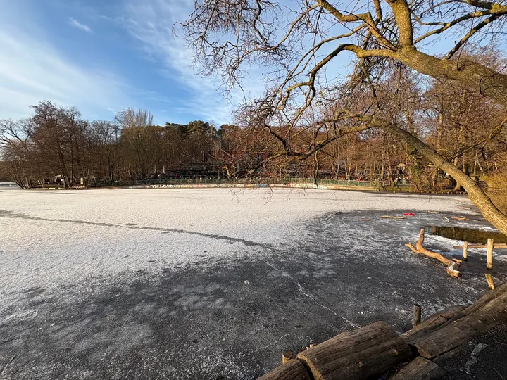 Alchemy of Growth - Liegewiese Schlachtensee — fitnessstudio in Berlin — 4