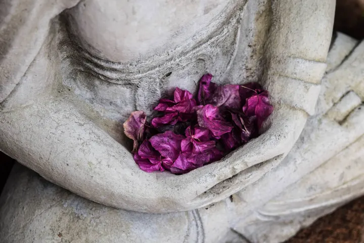 De Yogareis 🧘🏻‍♀️ — yoga-studio in Alkmaar — 3