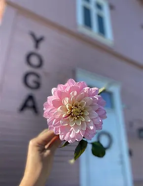 Yogastasjonen — yoga-studio i Ridabu