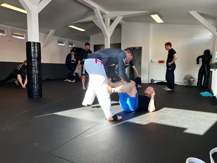 Trave Teufel — mma-studio in Holstentor-Nord, Lübeck — 3