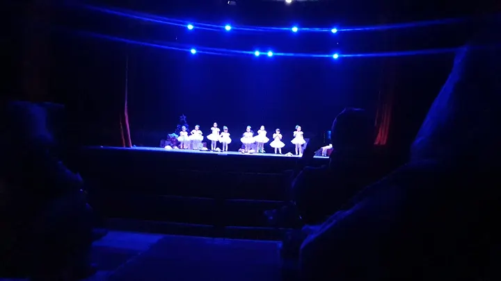 Escuela de Danza Aldava — baile-studio en El Camino, Fuenlabrada — 3