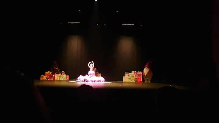 Escuela de Danza Aldava — baile-studio en Fuenlabrada — 3
