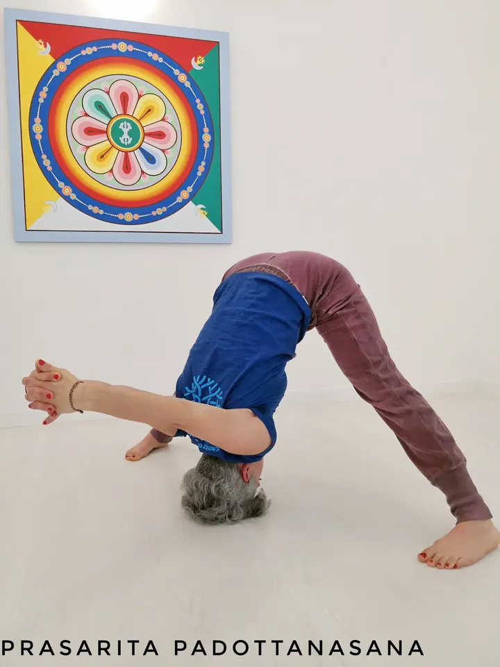 Centro Yoga Studium — yoga-studio a Carpenedo, Venezia — 3