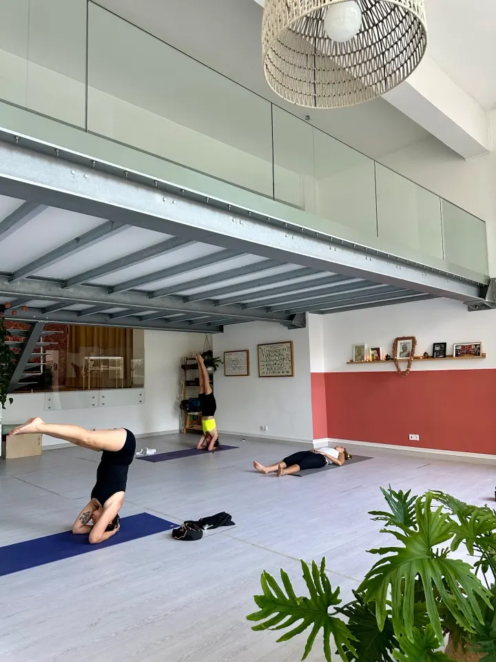 Ashtanga Yoga Tree — yoga-studio em Lisboa — 2