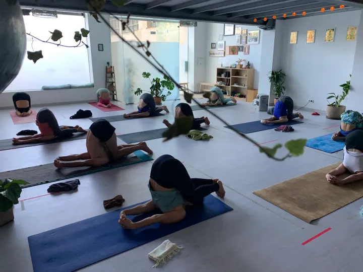 Ashtanga Yoga Tree — yoga-studio em Lisboa — 3