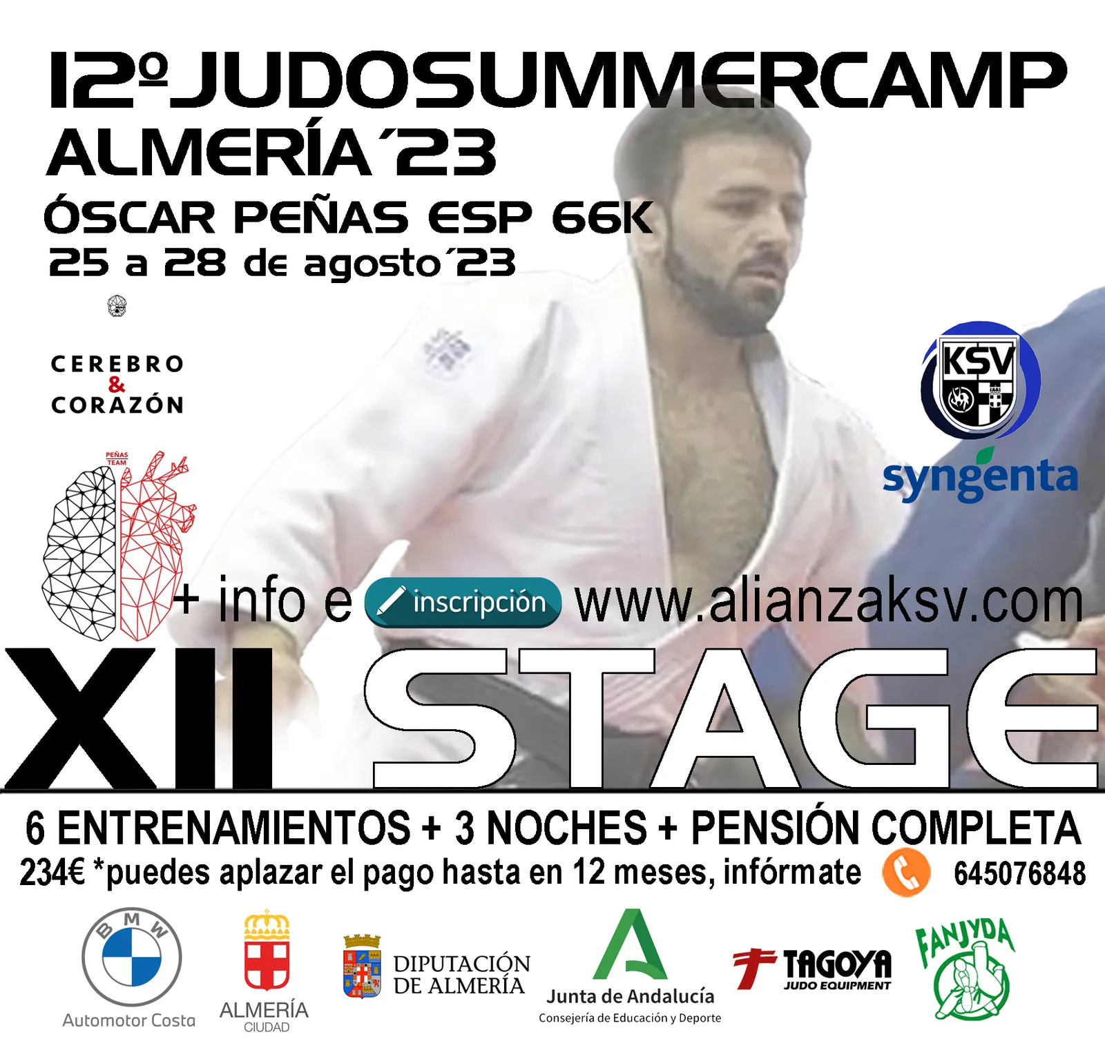 Alianza KSV - Escuela de Judo en Almería — kampsport-studio i Nueva Andalucía, Almería — bild 2