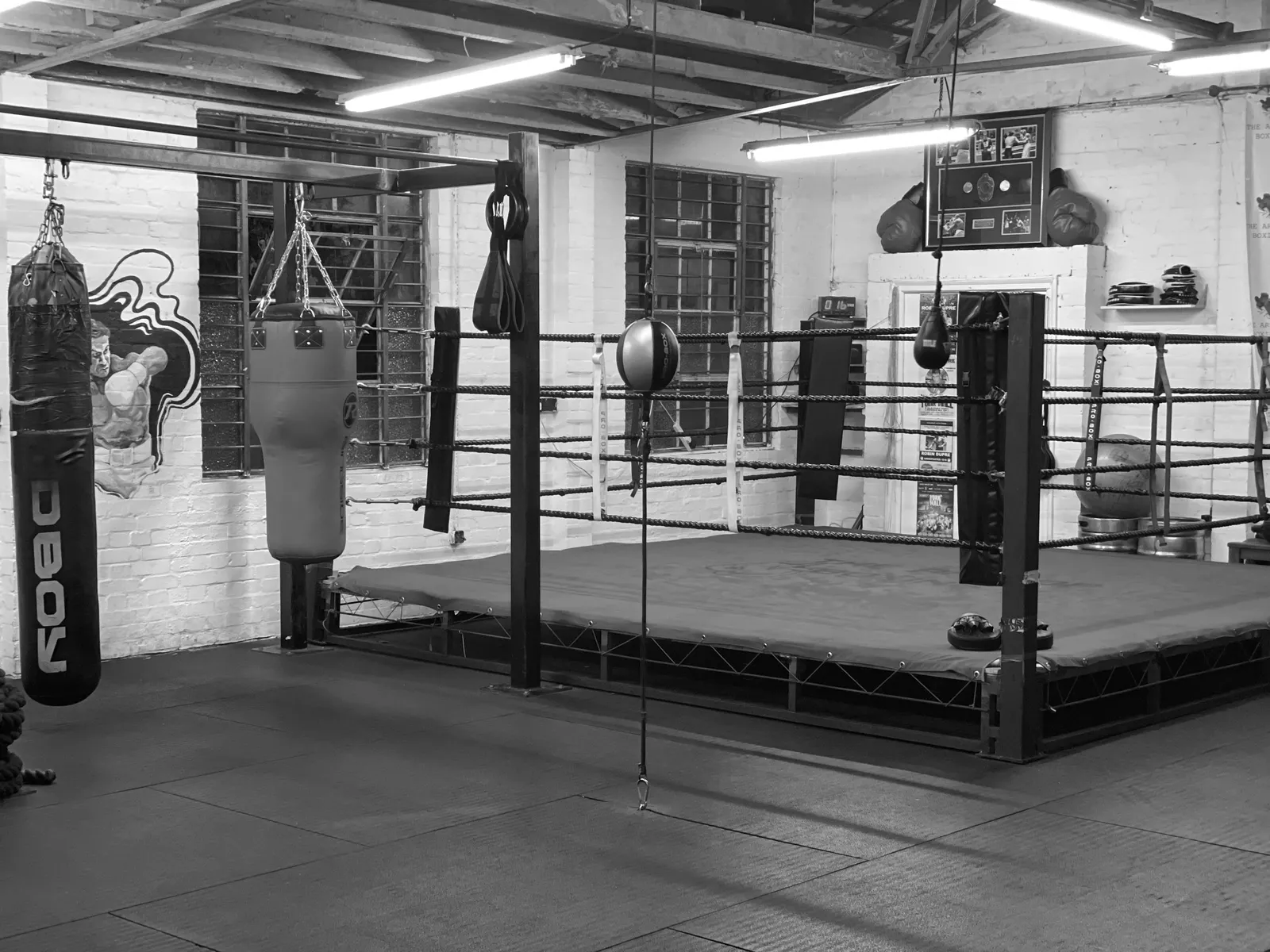 The Art of Boxing Training Studio — boxing-studio in Rush Green, Romford — 2