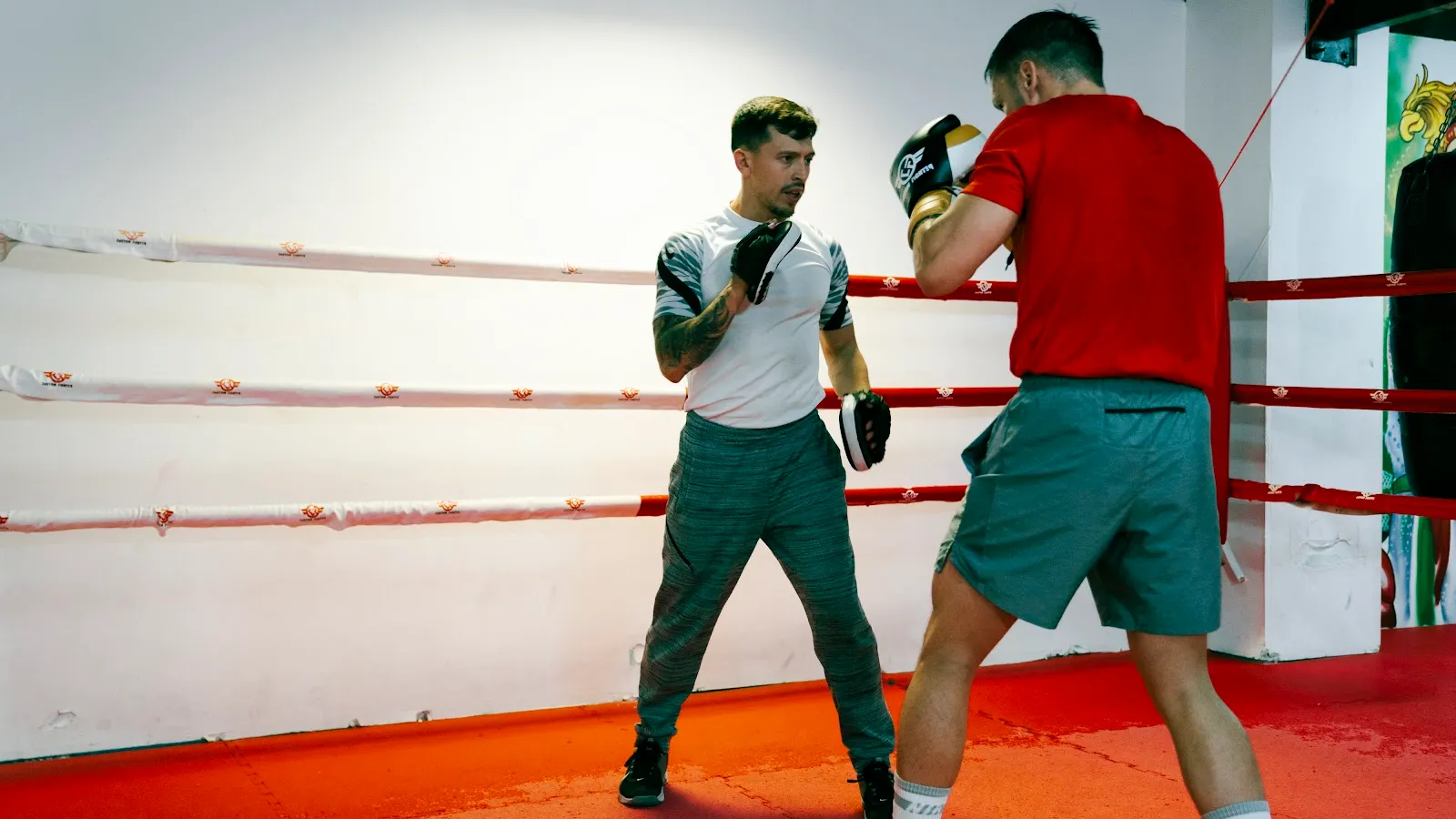 Olimpia Boxing Club — artes marciales-studio en Móstoles — 3