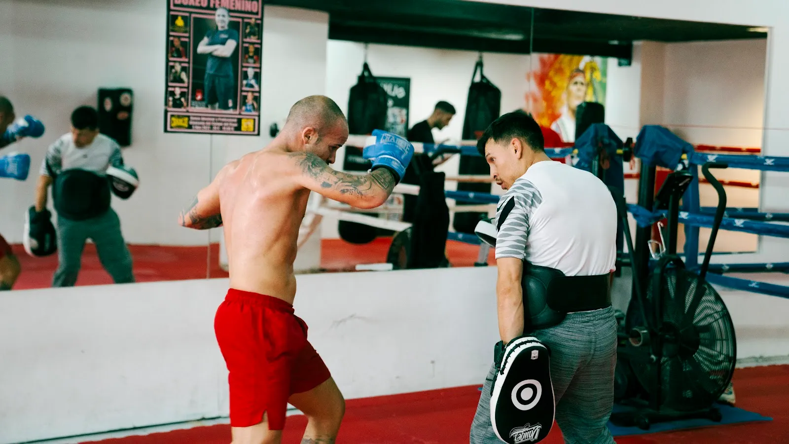 Olimpia Boxing Club — artes marciales-studio en Móstoles — 4