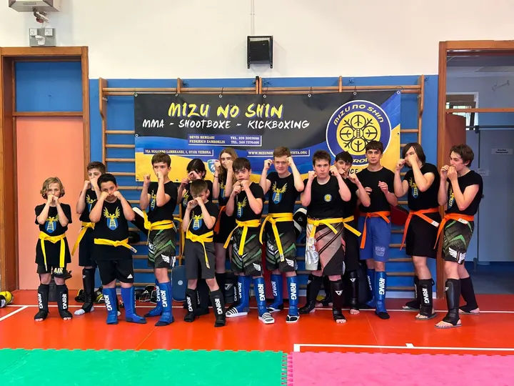 Mizu No Shin — mma-studio a Nord-Est, Verona — 2