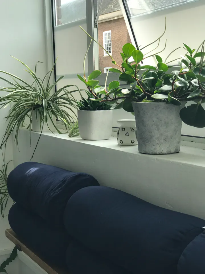 Malli Yoga- Saltwater Studios Worthing — yoga-studio in Worthing — 3