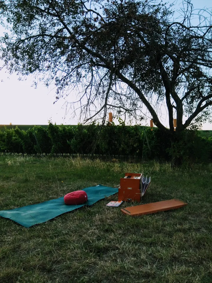 Bhavani Music Yoga — yoga-studio in Nackenheim — 2