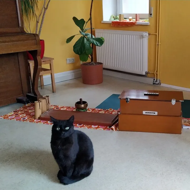 Bhavani Music Yoga — yoga-studio in Nackenheim — 3