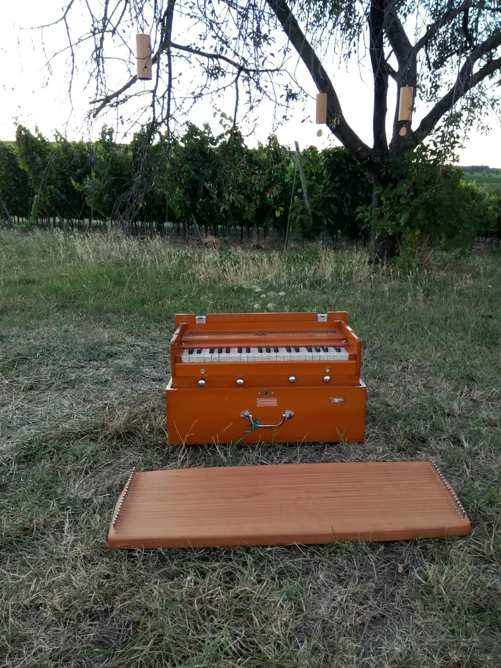 Bhavani Music Yoga — Yoga in Nackenheim