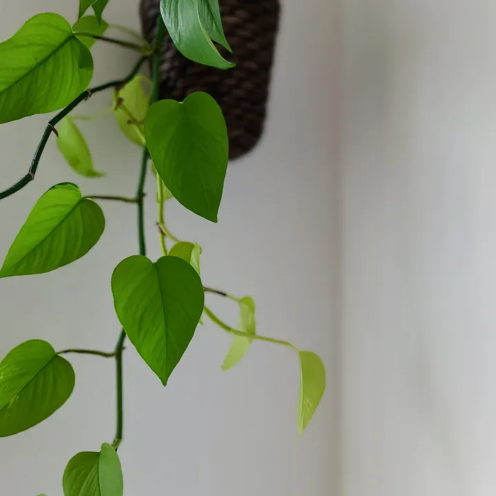 Studio MB — yoga-studio in Waalre — 3