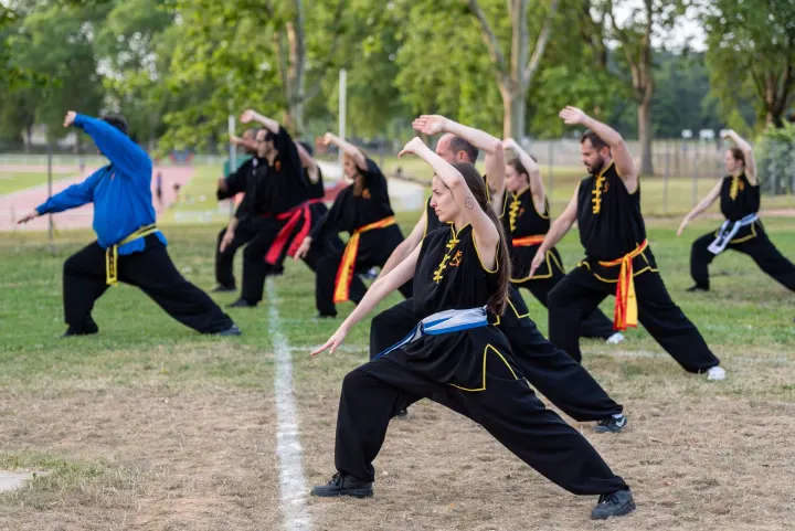 Kung Fu Thieulâm Villeurbanne Gymnase des Brosses — arts martiaux-studio à Villeurbanne — 3