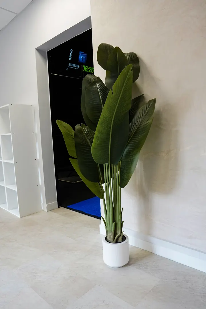 R360 Training — salle de fitness-studio à Saint-François, Le Havre — 2