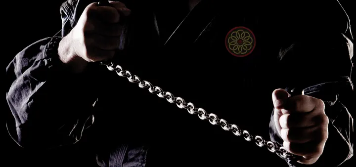 Kinshinden Shinobi Do — arti marziali-studio a Santa Rita, Torino — 2