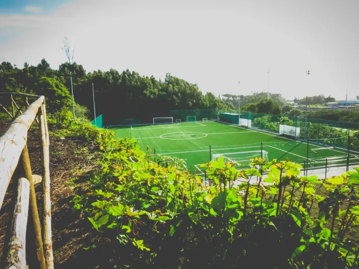 Fundação Pauleta — Ginásio em Rosto do Cão (São Roque), Ponta Delgada