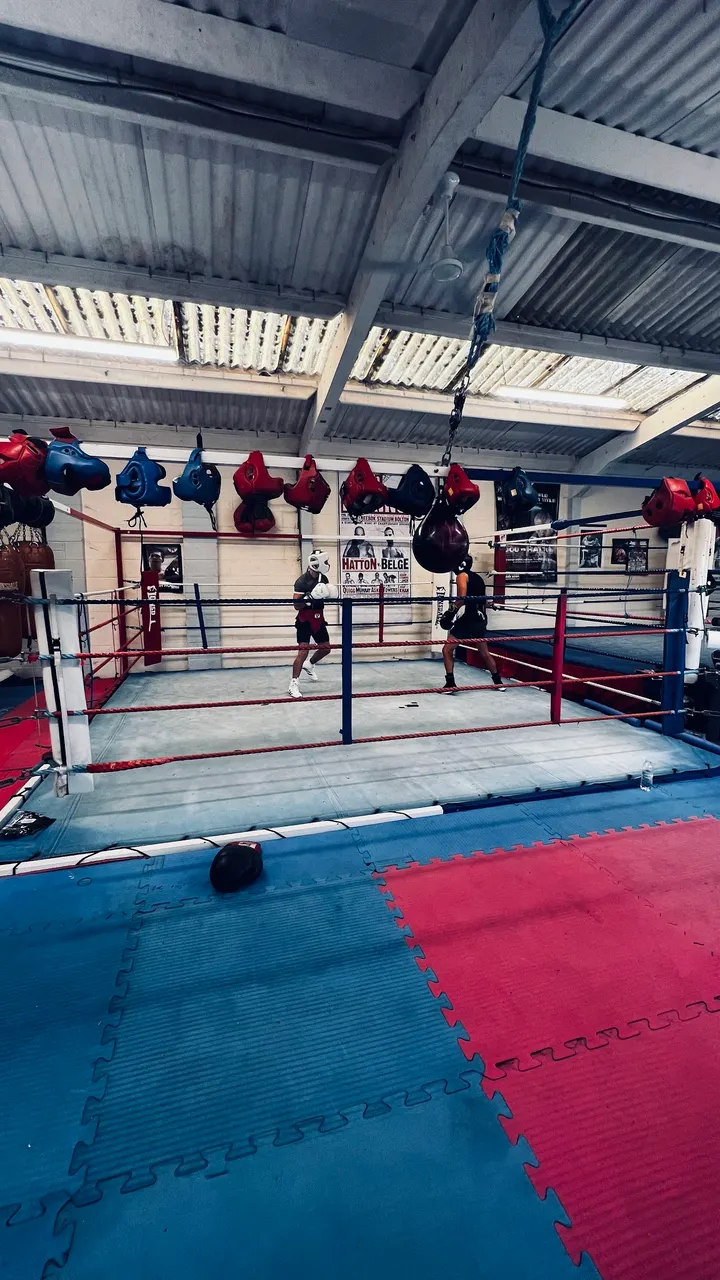 Max Cranage Pro Boxing & Conditioning — boxing-studio in Chard — 4