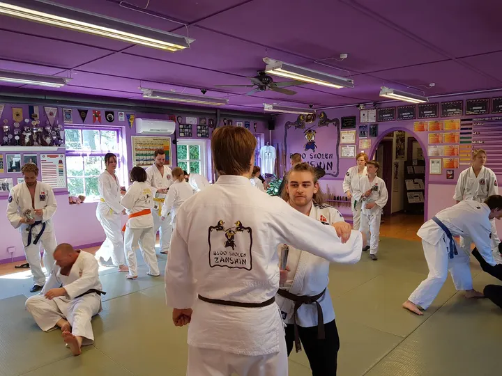 Budo Skolen Zanshin — Træningsstudio i Vedby, Søndersø