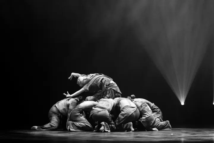 Newdancefactory — dans-studio in Wormer — 5