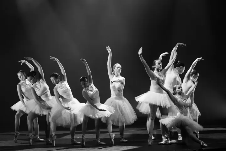 Newdancefactory — Dans in Bartelsluis, Wormer