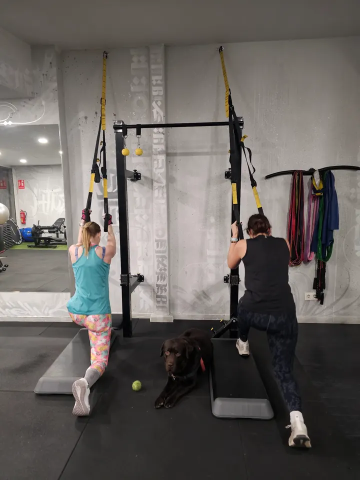 Studio fitness Danny Pinasco | Entrenador Personal en Madrid — estudio de fitness-studio en Madrid — 3
