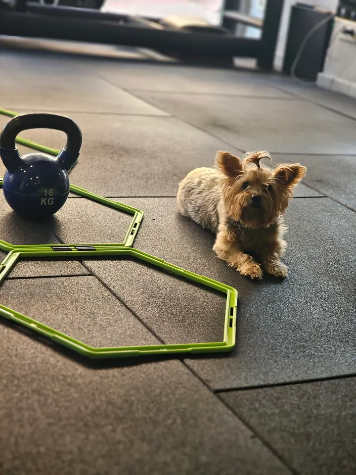 Studio fitness Danny Pinasco | Entrenador Personal en Madrid — estudio de fitness-studio en Madrid — 4