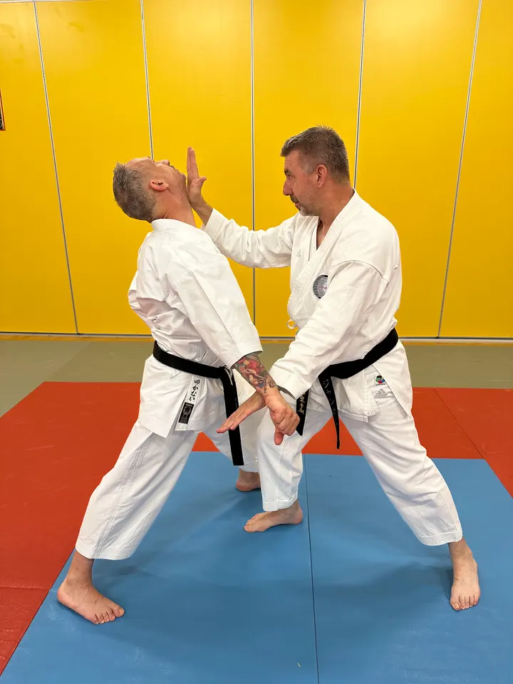 Shin'Kyuu Dojo Karate-do — arts martiaux-studio à Tribunal-Gare-Porte de Schirmeck, Strasbourg — 2