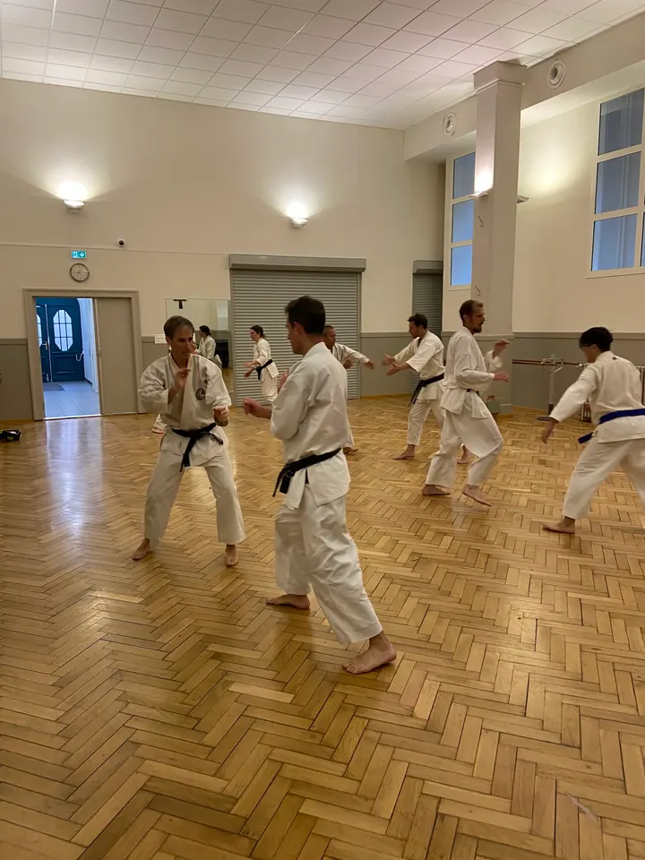 Shin'Kyuu Dojo Karate-do — Arts martiaux à Tribunal-Gare-Porte de Schirmeck, Strasbourg