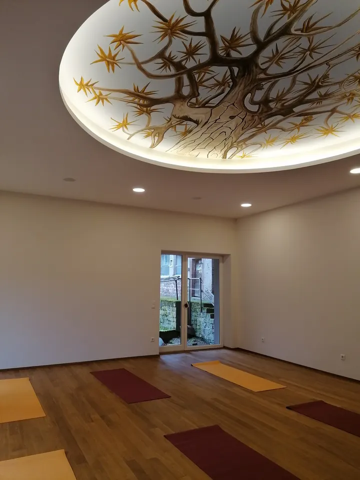 Yoga Sonnenkraft Heidelberg — yoga-studio in Heidelberg — 5