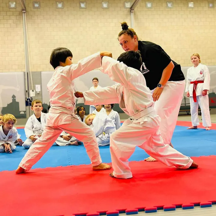 Karate Team Utrecht Gymzaal Verlengde Houtrakgracht — vechtsport-studio in Leidsche Rijn, Utrecht — 2
