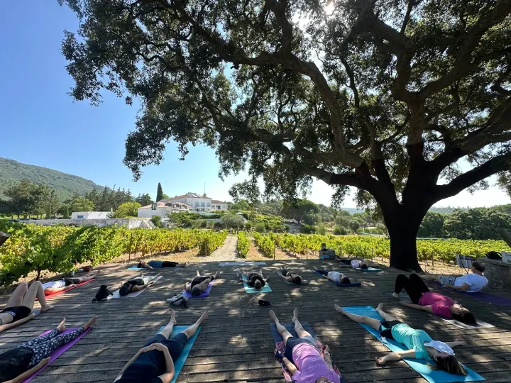 Yoga Bliss Studio — yoga-studio em Fonte Nova, Setúbal — 3