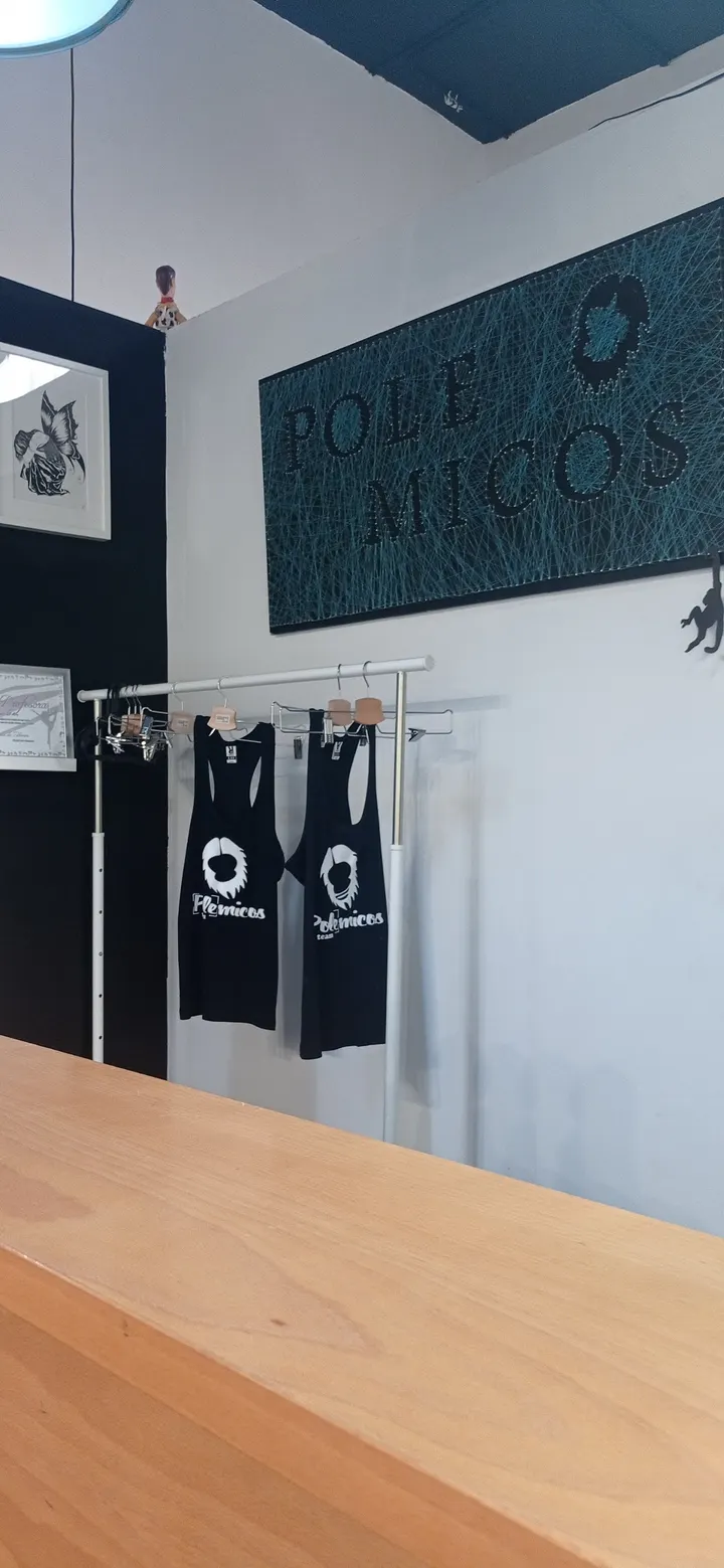 Polemicos tu escuela de pole dance y aéreos en Murcia — estudio de fitness-studio en Murcia — 3