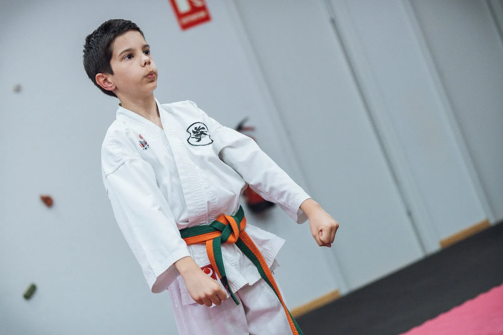 El Dojo - Escuela de artes marciales de A Coruña — artes marciales-studio en Montes, A Coruña — 3