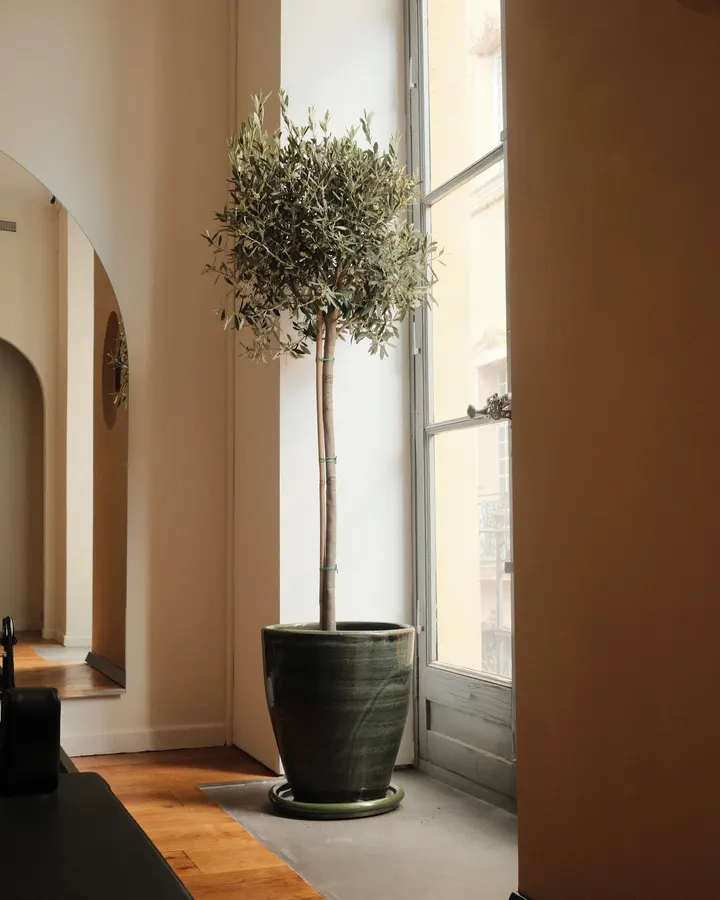 Umi Pilates Club — Pilates à Cuques, Aix-en-Provence