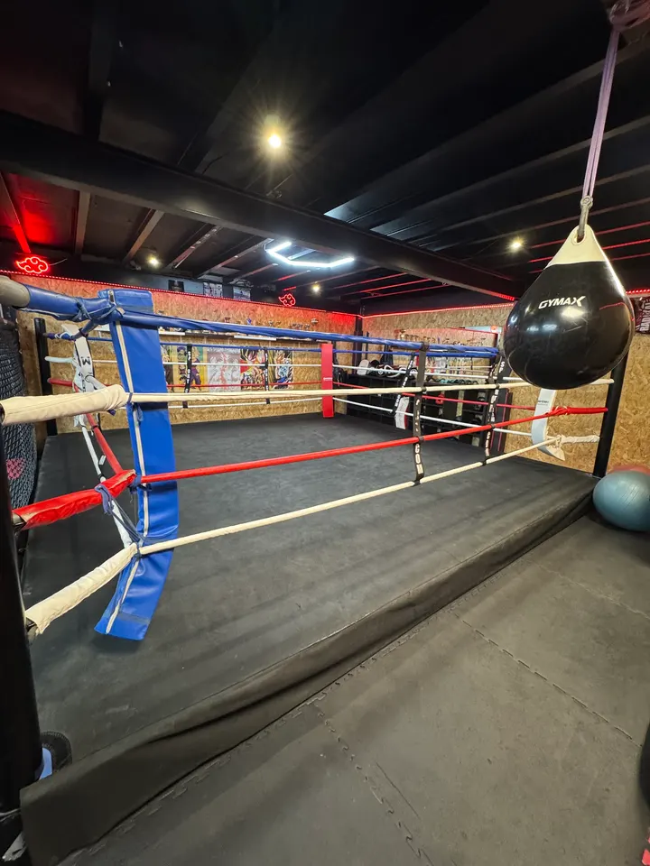 Apash Academy — arts martiaux-studio à Meyzieu, Lyon — 2