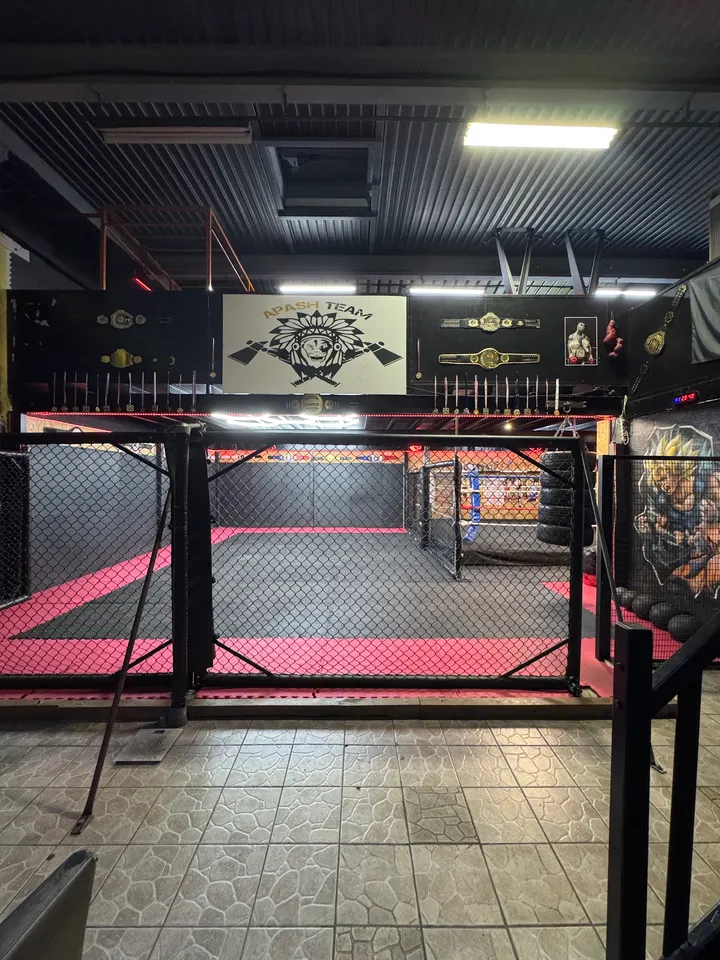 Apash Academy — arts martiaux-studio à Meyzieu, Lyon — 3