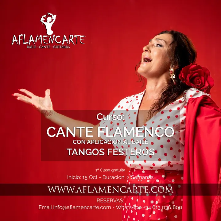 Aflamencarte — baile-studio en Sevilla — 3