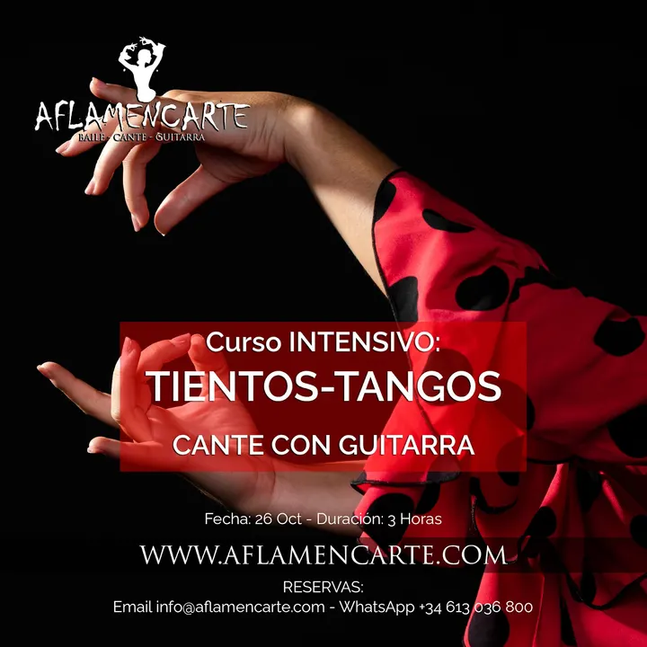 Aflamencarte — baile-studio en Sevilla — 4