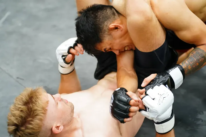 Progress MMA — boxen-studio in Altona-Nord, Raunheim — 2